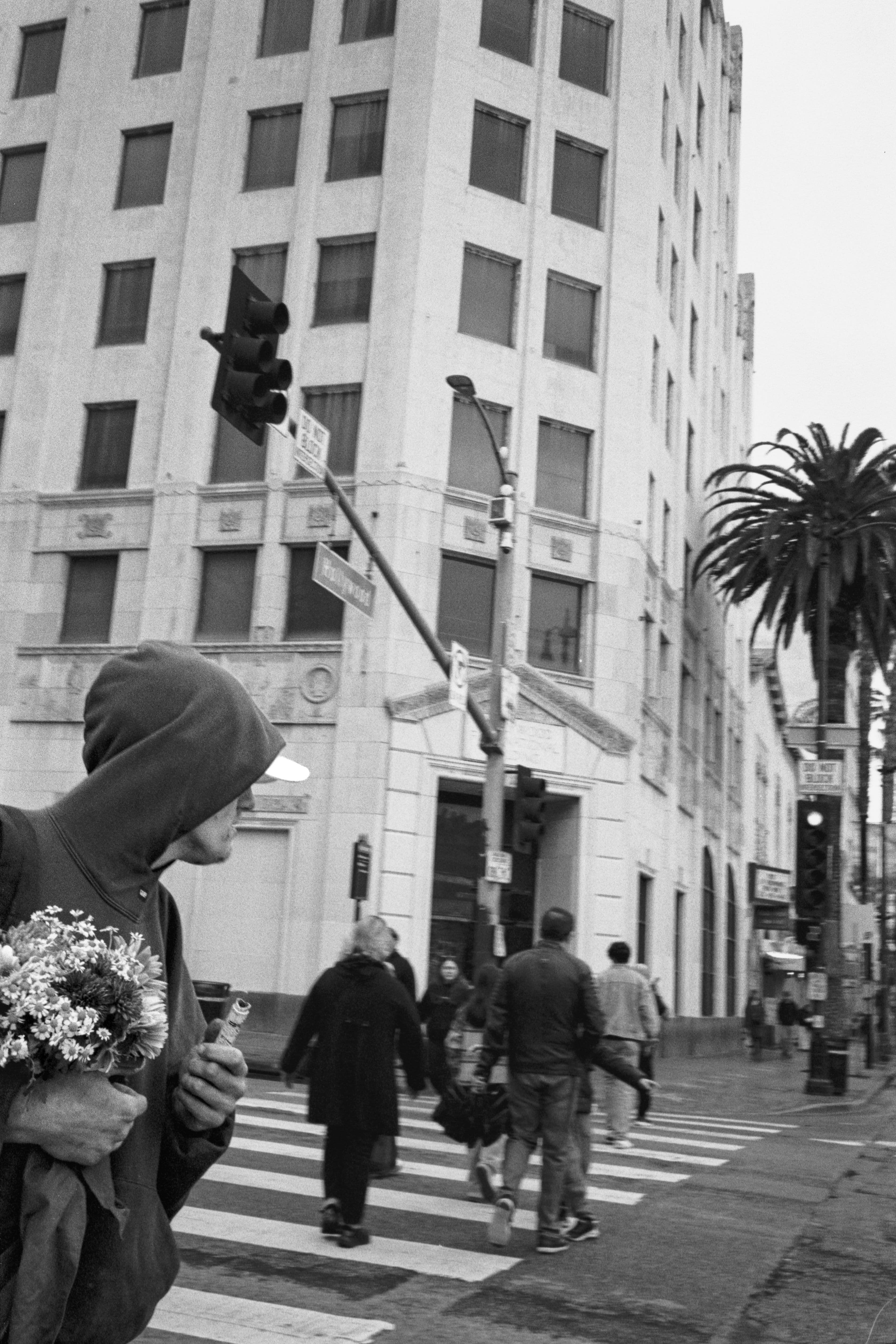 The Walk of Fame: Story of Glitz & Glamor Turned Grit & Grime